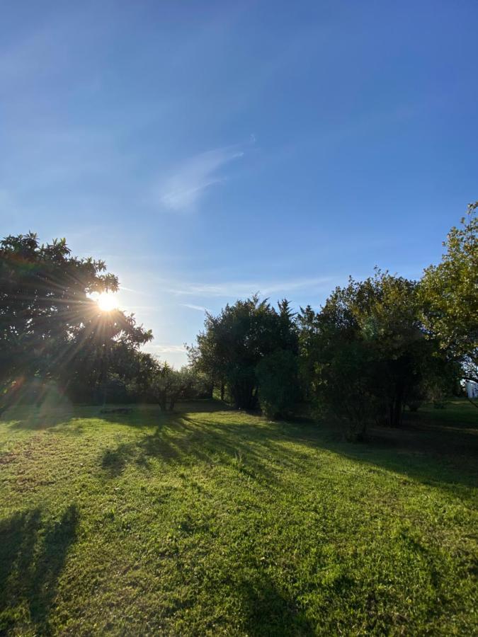 Studio Climatise Dans Un Ancien Domaine Viticole Montpellier Ngoại thất bức ảnh