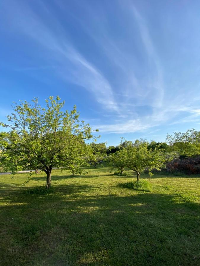 Studio Climatise Dans Un Ancien Domaine Viticole Montpellier Ngoại thất bức ảnh