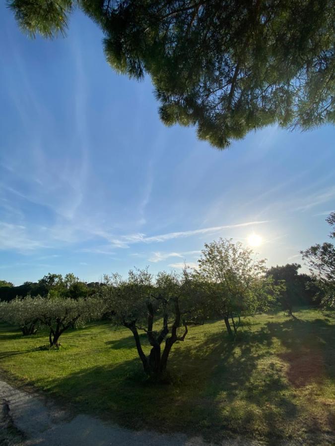 Studio Climatise Dans Un Ancien Domaine Viticole Montpellier Ngoại thất bức ảnh